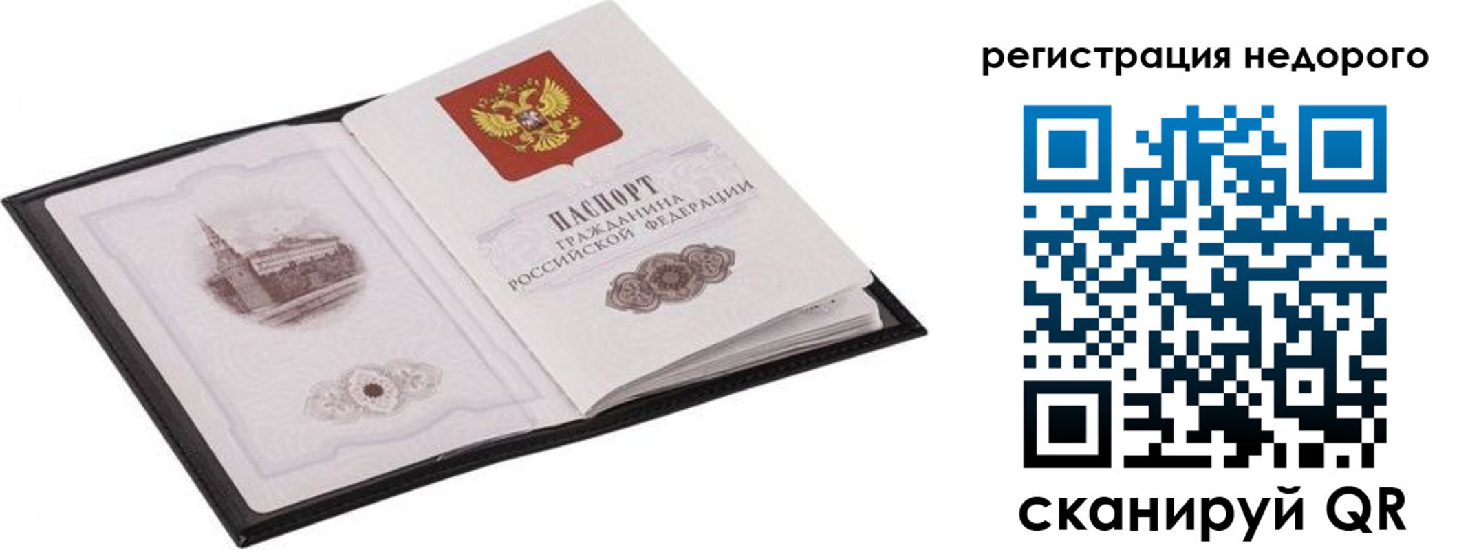 прописка регистрация в Нелидово